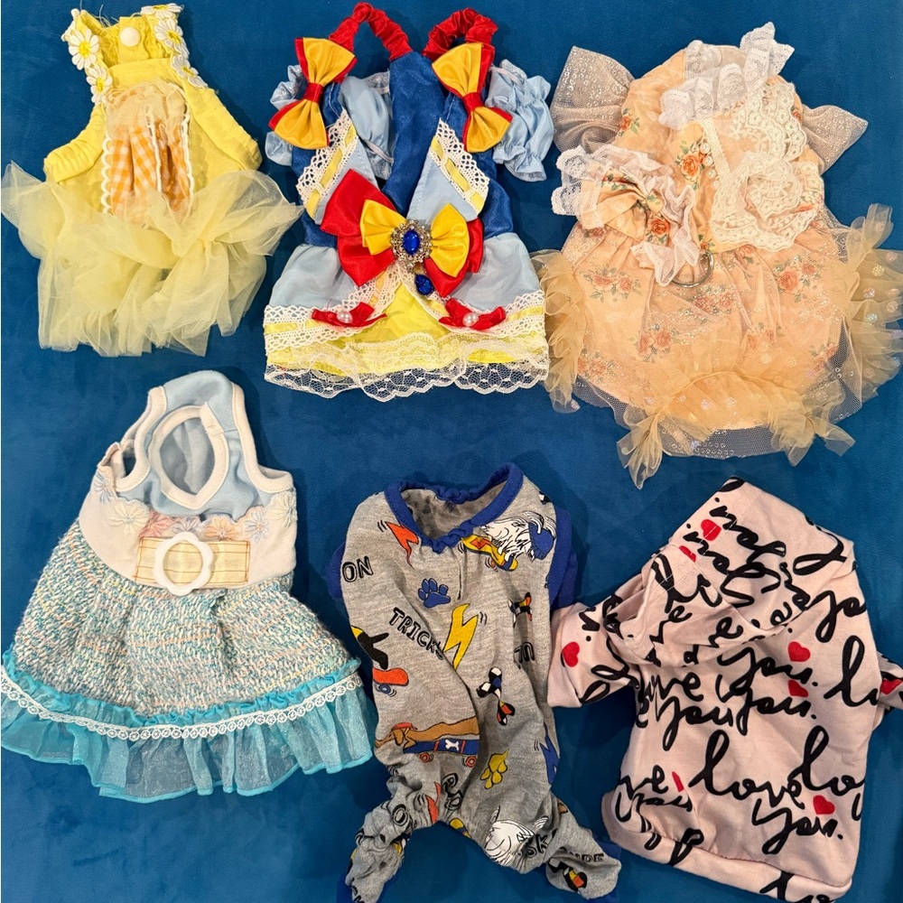 Colorful Dog Dress Set